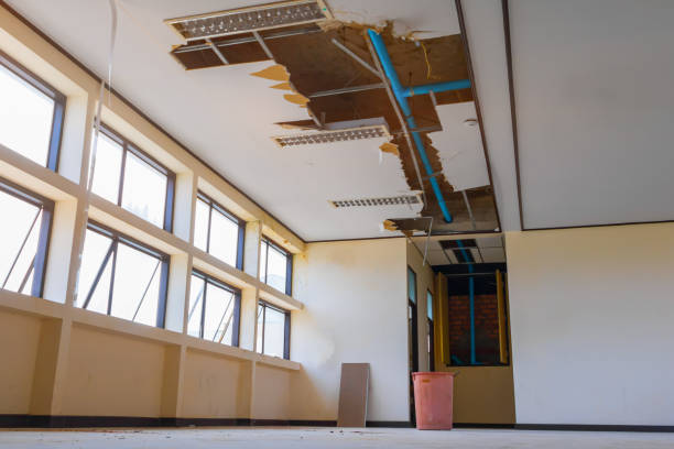 Best Water damage cleanup near me  in Alanes Ridge, CA