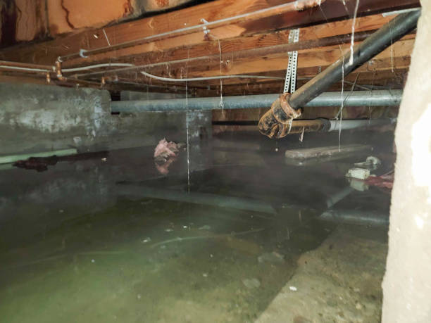 Best Carpet water damage restoration  in Alanes Ridge, CA