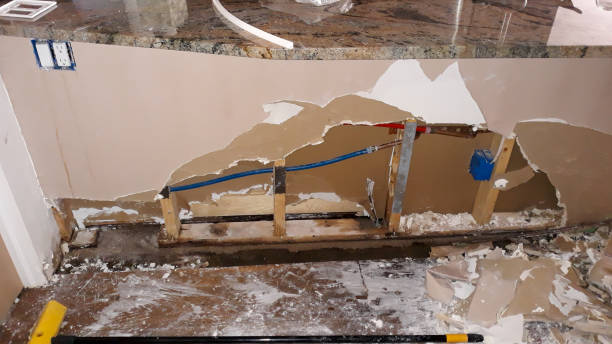 Best Flooded house restoration  in Alanes Ridge, CA