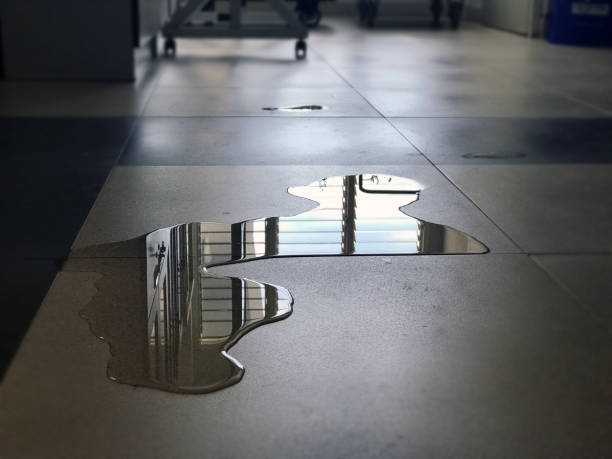 Best Professional water damage repair  in Alanes Ridge, CA